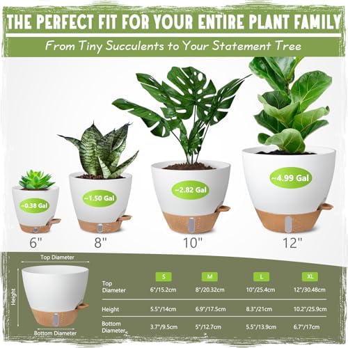 Self-Watering Pots for Indoor and Outdoor Plants 4 Pack, 6/8/10/12 Inch Planters with Water Level Indicator & Deep Reservoir, Decorative Flower Pots for Home Decor - Image 2