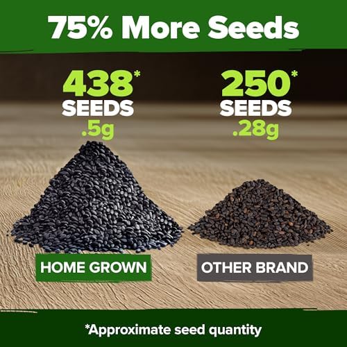 HOME GROWN Thai Basil Seeds, 438 Seeds, Ocimum basilicum VAR. thyrsiflora - Image 3