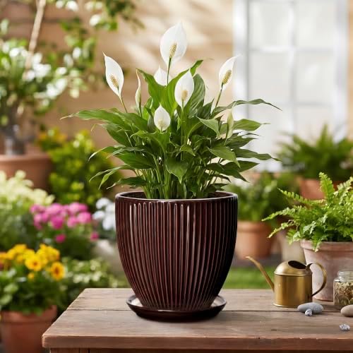 6 Inch Planter, Ceramic Plant Pots Indoor with Drainage Hole and Saucer, Round Flower Orchid Pots for Indoor Plants, Succulent Pot, Small Modern Planter, Bathroom Decor, Brown - Image 4