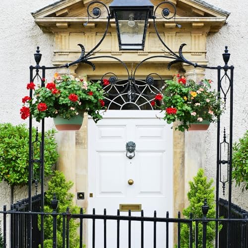 montresor 8/10/12 Inch Self Watering Hanging Planters for Outdoor/Indoor - Image 6
