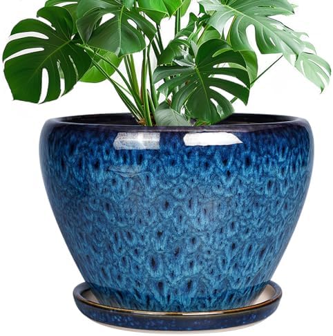 Ceramicfor 10 Inch Ceramic Planter Pot, Ceramic Plant Pot for Indoor Outdoor Plants, Large Flower Pot with Drainage Hole and Saucer, Blue by Ceramicfor