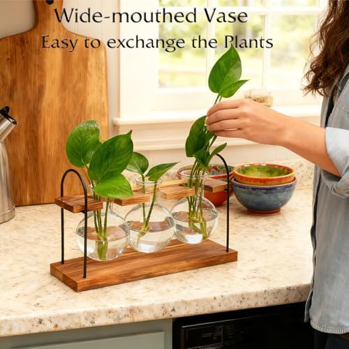 Plant Terrarium with Wooden Stand, Birthday Gift for Women Mom Plant Lover - Image 2