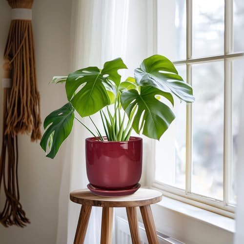 Ceramic Planter for Plants - Round Modern 7 Inch Plant Pot Indoor with Drainage Hole and Saucer, Home Patio Office Apartment Decor, Red - Image 6
