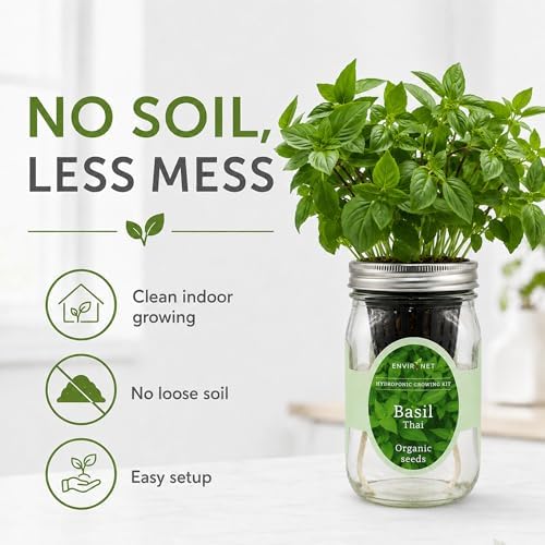 Hydroponic Herb Growing Kit, Self-Watering Mason Jar Herb Garden Starter Kit Indoor, Windowsill Herbs Garden, Grow Your Own Herbs from Organic Seeds (Thai Basil) - Image 4