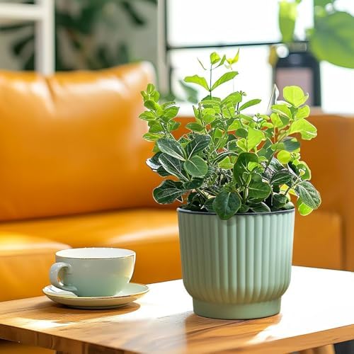 T4U Self Watering Pots for Indoor Plants, 6 Inch 6 Pack Planter Green - Image 6