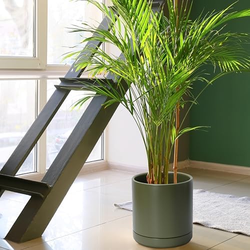 D'vine Dev 10 Inch Ceramic Planter Pot, Olive, 94-O-E-J - Image 5