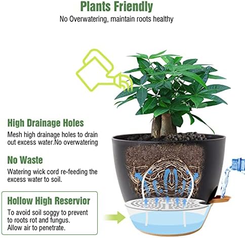 UOUZ 12inch 2Pack Large Self Watering Planters, Plastic Plant Pots with 60oZ Removable Deep Reservoir and Multi Mesh Drainage Holes for Indoor Outdoor Garden Plants and Flowers, Black with Brown - Image 3