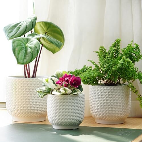 4 + 5 + 6 Inch Ceramic Pots for Indoor Plants, Succulents Plant Pots, Orchid Flower Pot with Drainage Hole, Modern Clay Stoneware Planters, Set of 3 (White, 4+5+6 Inch) - Image 5