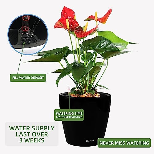 Dexceder 15x14 Self Watering Planter with Wheels (Black Matte) - Image 5
