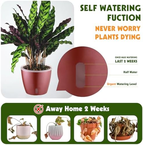 Self Watering Pots for Indoor Plants, 6-Pack 5'' Self Watering Planter with Drainage Holes, Small African Violet Pots with Water Indicator, Clear Wick Orchid Pot, Rose Gold - Image 3