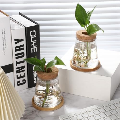 Baderke 12 Packs Propagation Vases for Plants Plastic Plant Propagation with Hole Lid and Bamboo Stand Growing in Water Hydroponic Home Office Desktop Vase Decoration (Cute Style) - Image 4