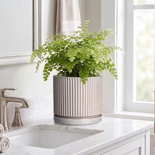 8 Inch Plant Pots, Ceramic Flower Pot, Round Planter with Tray, Grey - Image 7