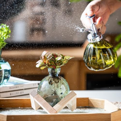 Plant Propagation Station, Plant Terrarium with Wooden Stand for Hydroponic Plant Propagation, Propagation Vases for Plants, Green Glass Bulb Vases for Home Office Decor (2) - Image 5