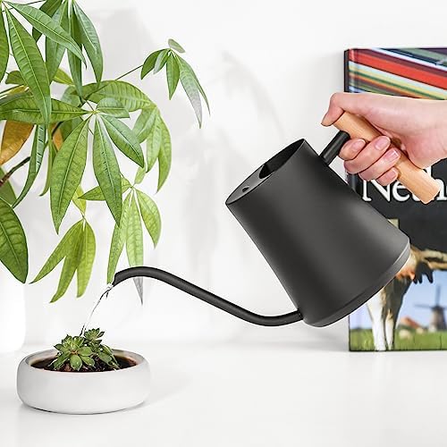 Black Watering Can for Indoor Plants, 1L/35oz Stainless Steel - Image 5