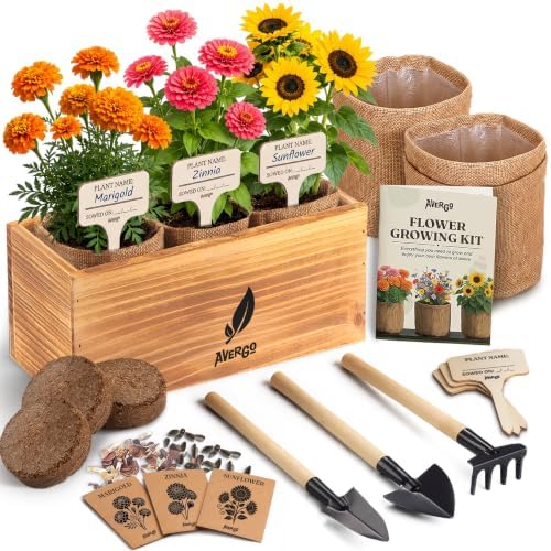AVERGO Sunflower, Marigold & Zinnia Flower Seeds Growing Kit by Plantingseedsgrowingdreams