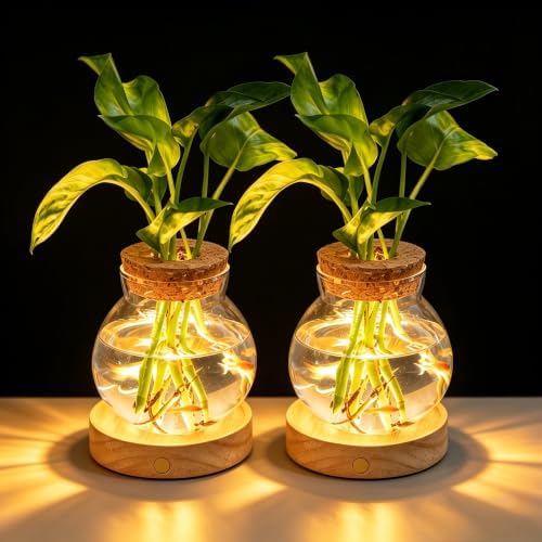 Plant Propagation Station with Wooden Saucer, Glass Terrarium with Stepless Dimming Function Hydroponic Glass Container Vase Jars Gardening Gifts for Mom Women Plant Lovers(2 Pack) by WelcometoEverkeen