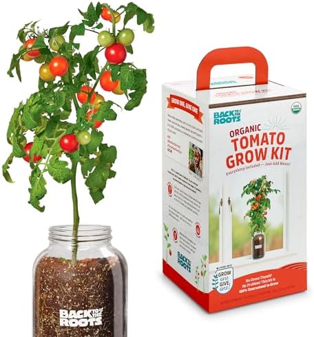 Back to the Roots Cherry Tomato Organic Windowsill Planter Kit - Grows Year Round, Includes Everything Needed For Planting by BacktotheRoots