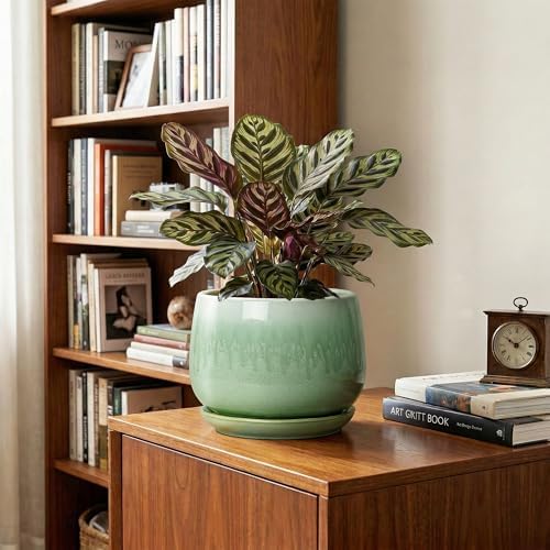 Ceramic Pots for Plants - 7 Inch Planters for Indoor Plants, Round Ceramic Plant Pot with Drainage Hole and Saucer, Decorative Planters, Rustic Home Decor, Plant Gifts for Women, Green - Image 5