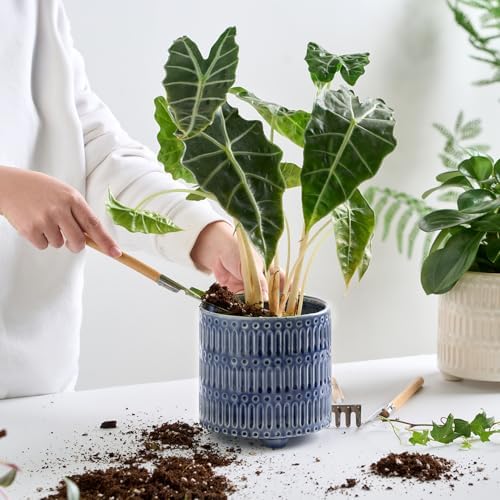 STHIE 5 Inch Ceramic Planters for Indoor Plants, Blue Cactu Snake Plant Pot - Image 5