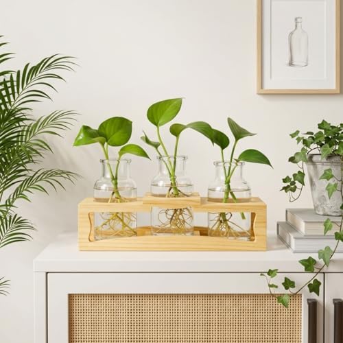 Eorbow Plant Propagation Station, Desktop Plant Terrarium with Wood Stand, Retro Propagation Vases Glass Planters for Indoor, Hydroponic Plant Propagating Jars for Home Office Decor, Plant Lover Gifts - Image 4