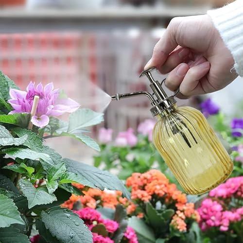 Glass Plant Mister Spray Bottle, 320ML Vintage Plant Spritzer with Top Pump Watering Can for Indoor Outdoor House Plants, Flowers (Yellow) - Image 2
