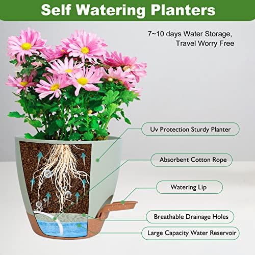 Vanslogreen Planters for Indoor Plants, 8/7/6.5/6/5.5/5 Inch Self Watering Planters with Drainage Hole, Plastic Planters Flower Pots for Indoor Outdoor Plants (Green) - Image 2