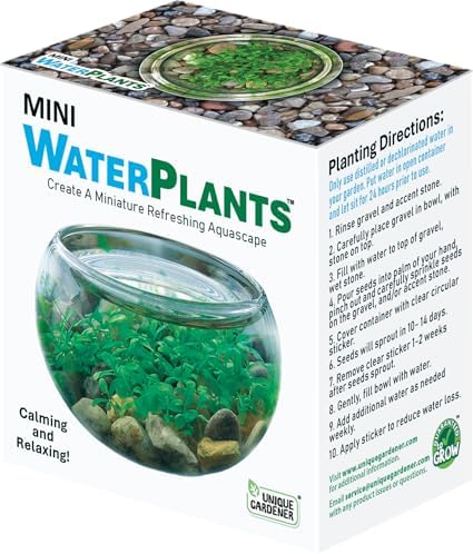 Mini WaterPlants - Create Your Own Soothing Aquasacape Starter Kit, Indoor Plant Glass Globe Terrariums with Complete Supplies, Just Add Water, 1-Pack - Image 4