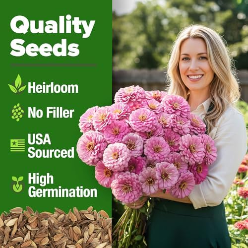 HOME GROWN Zinnia Seeds, Luminosa Pink, 1,500 Seeds, Zinnia elegans - Image 2