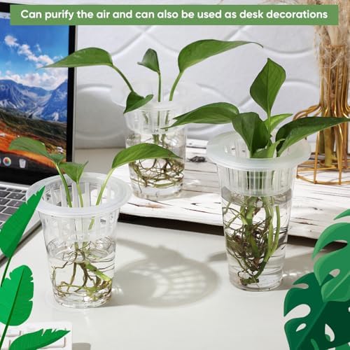 Baderke 35 Pcs Plastic Plant Propagation Vase for Indoor Decor - Image 5
