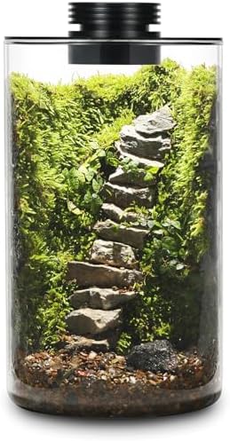 Desktop Glass Plant Terrarium with Grow Light for Carnivorous Plants & Moss by AREPK
