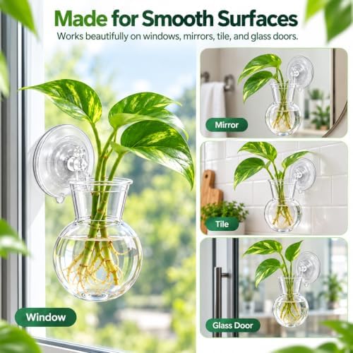 8 Pack Window Propagation Stations, Plastic Plant Terrarium Vases - Image 7