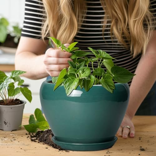 Ceramicfor 8 Inch Plant Pot - Ceramic Planter for Indoor Plants, Green - Image 5