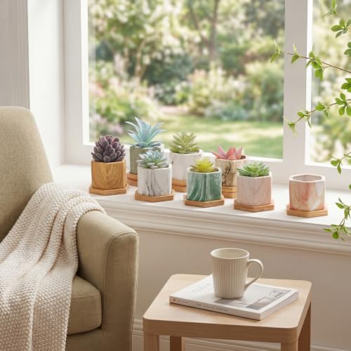 Ziliny Marbling Ceramic Flower Pot Succulent Small Plant Cactus Herbs Planter Ceramic Pot with Drainage Hole Matte Container (12 Pcs,Hexagon Style) - Image 6