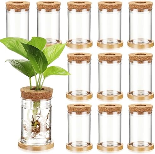 Baderke 12 Pack Propagation Vases for Plants, Classic Style by Baderke
