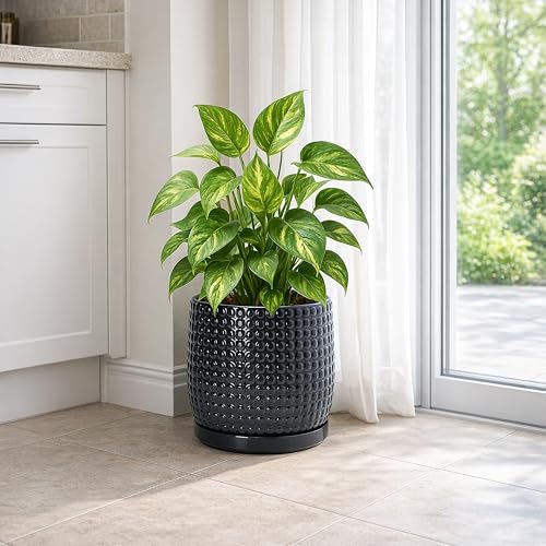 D'vine Dev Beaded Ceramic Pot with Saucer, 8 in, Glossy Black, 27-C-Q-2 - Image 5