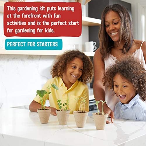 Back to the Roots Kids Science Grow Kit - 2 pk Bean and Watermelon - Image 2