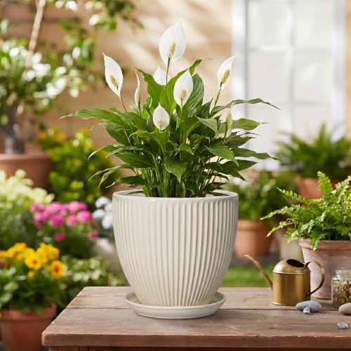 6 Inch Planter, Ceramic Pots for Plants Indoor, Decorative Plant Pots with Drainage Hole and Saucer, Round Flower Pot, Modern Small Planter, Office Decor, Gifts for Plant Lovers, Cream White - Image 4