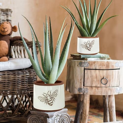 Terracotta Pots, 6+4 Inch Plant Pots, 2 Pcs with Drainage Holes - Image 3