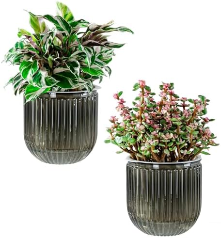 Melphoe Self Watering Pots for Indoor Plants Planter, 5.3 Inch 2 Pack Planters Self Watering Plant Pots for Flower, Houseplants, Succulent, African Violets and Cactus with Drainage by Melphoe