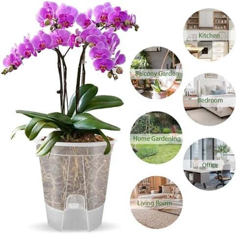 Cdd's Path 5-Pack 6 Inch Self Watering Naked Root Planter Pots with Drainage Holes & Reservoir, Plastic Planters with Air Pipes for Indoor Outdoor Plants，Clear - Image 6