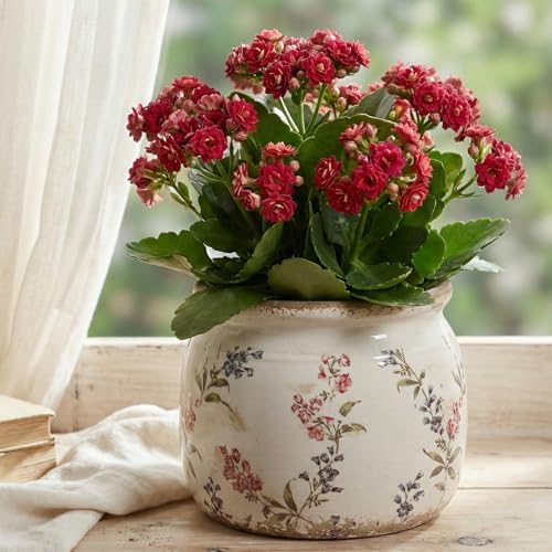 Xiaan Jiaju Flower Pots, Vintage Antique Ceramic Planters for Indoor Plants - Image 2