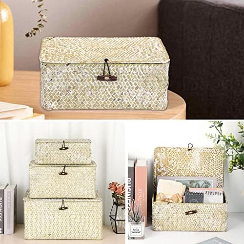Hipiwe Small Woven Wicker Shelf Basket Bin with Lid Natural Seagrass Basket - Image 5