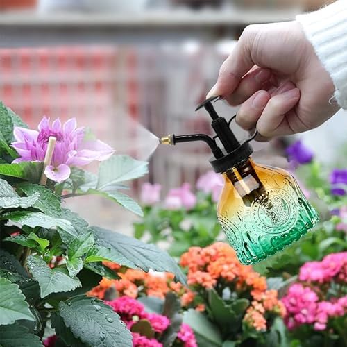 Glass Plant Mister Spray Bottle, 200ML Vintage Plant Spritzer, Succulent Watering Bottle Glass with Top Pump, Small Plants Sprayer Watering Can for Indoor Outdoor House(Brown Green) - Image 2