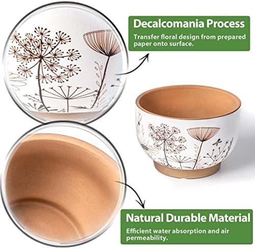 Terracotta Pots, 8+6 Inch Plant Pots, 2 Pcs with Drainage Holes - Image 6