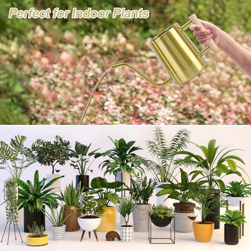 Watering Can Indoor Plants, 35 oz/1000 ml Metal Stainless Steel Watering Can Pot with Long Spout for Indoor House Plants Bonsai Outdoor Garden Flower Decorative (Gold) - Image 6