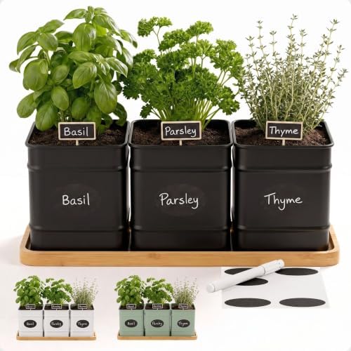 Herb Planter Indoor, 3-pc Herb Pots w/ Drainage Holes, Bamboo Tray & Labels by HBDesignCo