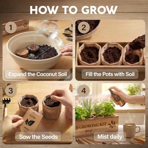 Indoor Herb Garden Kit, Herb Growing Kit for Kitchen and Windowsill - Image 6