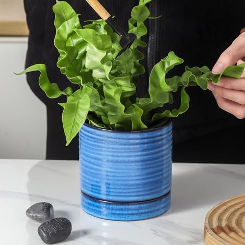 HASENSE Ceramic Plant Pots with Saucers Set of 4, 4.6 Inch Planters for Indoor Plants with Drainage Holes,Blue Flower Pots for Snake Plants & Cactus, Modern Farmhouse Windowsill & Tabletop Decor - Image 6
