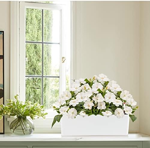 Elongated Self Watering Planter Pots 2-Pack Window Box 5.5 x 16 inch Indoor Home Garden Modern Decorative Planter Pot for All House Plants Flowers Herbs (White,2) - Image 6