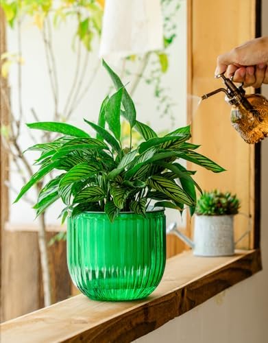 Melphoe Self Watering Pots for Indoor Plants Planter, 6.5 Inch 2 Pack Planters Self Watering Plant Pots for Flower, Houseplants, Succulent, African Violets and Cactus with Drainage - Image 5